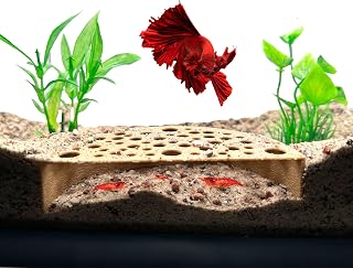 CTWPets Shrimp Breeding Protector, Shrimp Hide Tunnel, Light Brown | Aquarium tunnel creates a sheltered breeding cave for dwarf, cherry and baby shrimp while helping protect young shrimp.