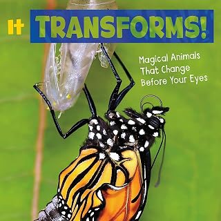 It Transforms!: Magical Animals That Change Before Your Eyes (Magical Animals)