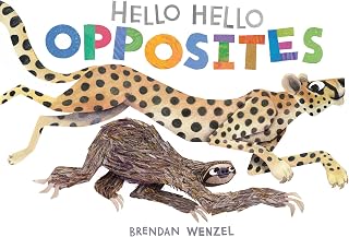 Hello Hello Opposites (Brendan Wenzel)
