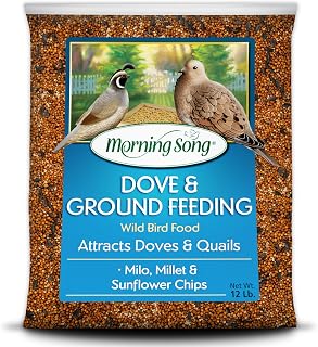 Morning Song Dove & Ground Feeding Wild Bird Seed, 12 lb | Dove, Quail & Pigeon Wild Bird Food for Outside Feeders