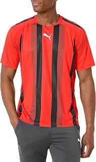 Puma Teamliga Jersey V2 Men's T-Shirt (Pack of 1)