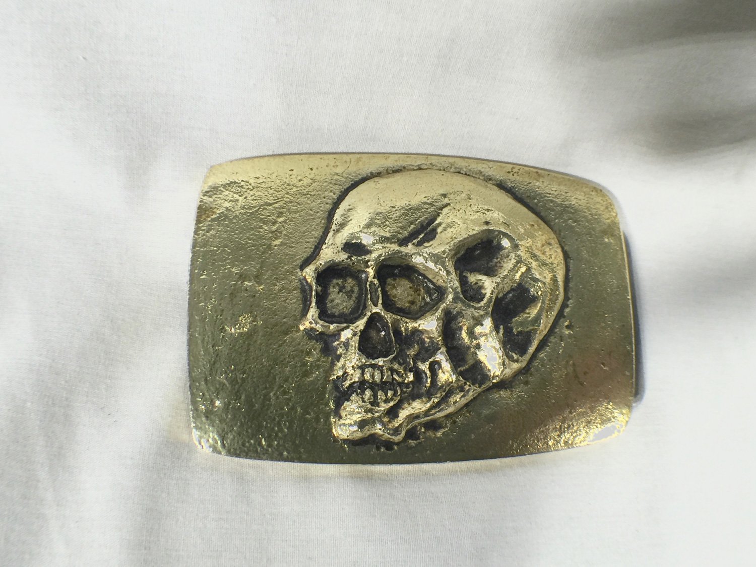Tomb Raider Skull Belt Buckle, Solid Metal, Gold, With Display Plaque