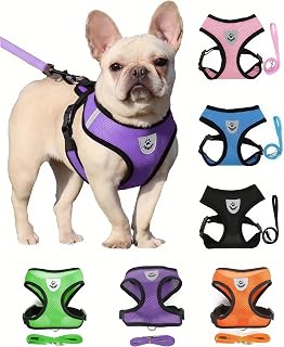 Small Cat Dog Harness - All Weather Mesh, Reflective, 4' Traction Rope, Anti-Pull Harness for Small Dogs and Cats - Secure Hook and Loop Fasteners Buckle, Double D-Ring, Medium, Purple