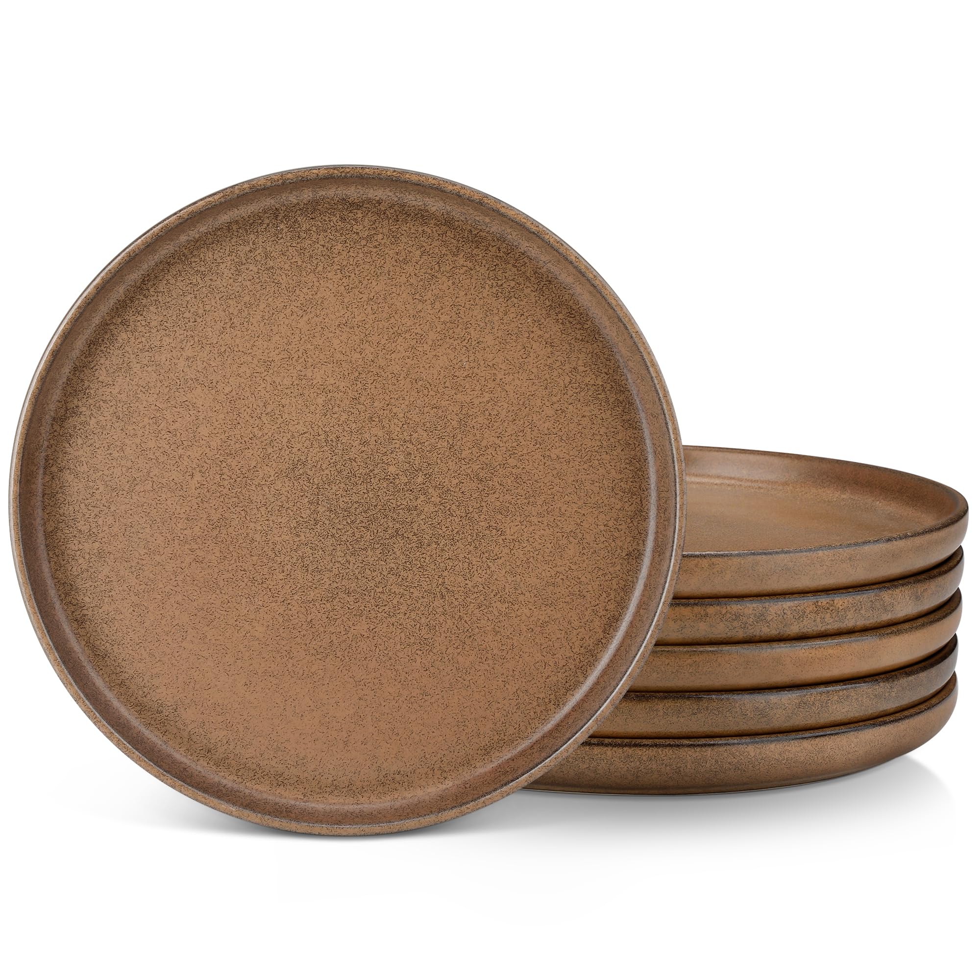 vancasso Zermatt Dinner Ser of 6, 10.5in Dinner Plates Set of 6, Microwave and D