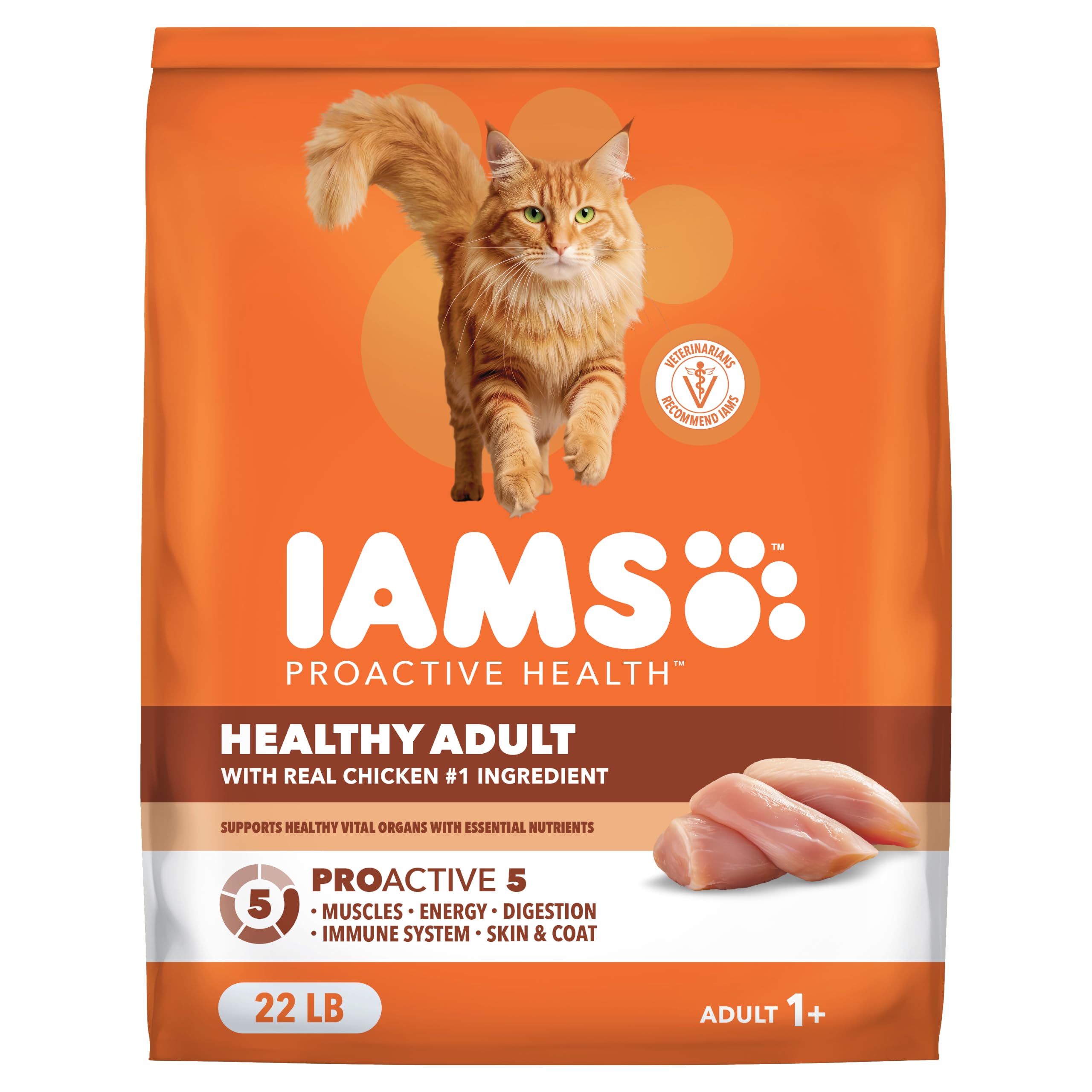 IAMS Proactive Health Healthy Adult Dry Cat Food, Chicken, 22 lb | Veterinarian-