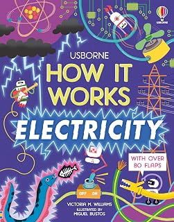 How It Works: Electricity: A Lift-the-Flap Experiment Book About Power for Kids (Ages 7-14)