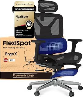 FLEXISPOT ErgoX sedia ergonomica da ufficio, braccioli 3D, poggiatesta 3D, schienale 5D regolabile, seduta traspirante, portata fino a 136 kg