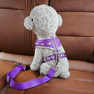 Universal Pet Safety Belt - Adjustable Dog Tether, Safety Buckle for All Vehicles - Purple