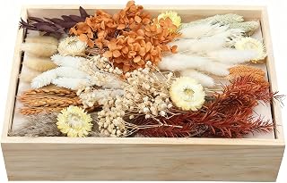 apmunik DIY Dried Flower Set, Bulk Dried Flowers Bouquet, Dried Flower Vase Arrangement, Autumn Decoration,Dried Flowers with Stems. (Fall)
