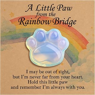 Odrano Pet Loss Sympathy Gift, Opalite Rainbow Bridge Paw Pocket Hug with Message Card, Remembrance Keepsake for Loss of Dog or Cat, Comfort Gift for Pet Lovers(Opalite)