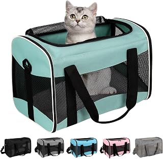 Small Animal Travel, Carrier for Hedgehog Rat Parrot Bird Guinea Pig, Lizards Carrier, Soft Sided Travel Carrier Portable Guinea Pig Up to 10 Lbs (15 * 10 * 10, Green)