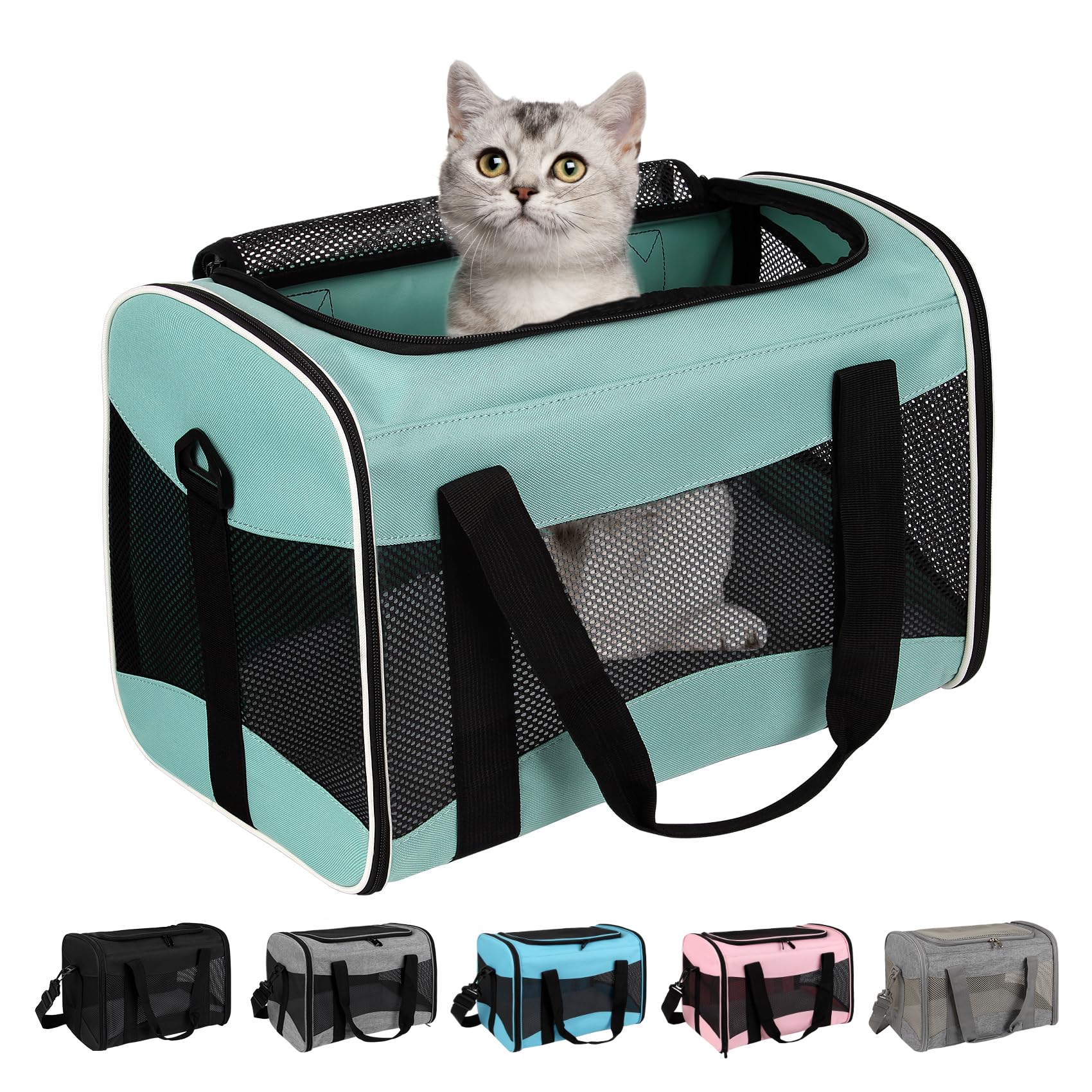 Small Animal Travel, Carrier for Hedgehog Rat Parrot Bird Guinea Pig, Lizards Ca