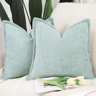 MADIZZ Decorative Chenille Velvet Throw Pillow Covers Set of 2 Soft Boho Textured Neutral Couch Throw Pillow for Bed Modern Farmhouse Home Decor for Sofa Livingroom Aqua Green 16x16 Inch
