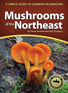 Mushrooms of the Northeast: A Simple Guide to Common Mushrooms (Mushroom Guides)