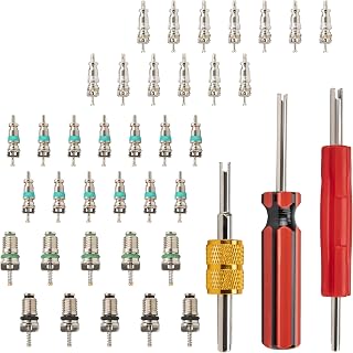 39 PCS Air Conditioning Valve Core Accessories Kit, Schrader Valve Tool | R12 R134a Tire Valve Stem Cores with Single &amp; Dual Heads Valve Core Remover Installer Tool, HVAC System Seal Caps Kit