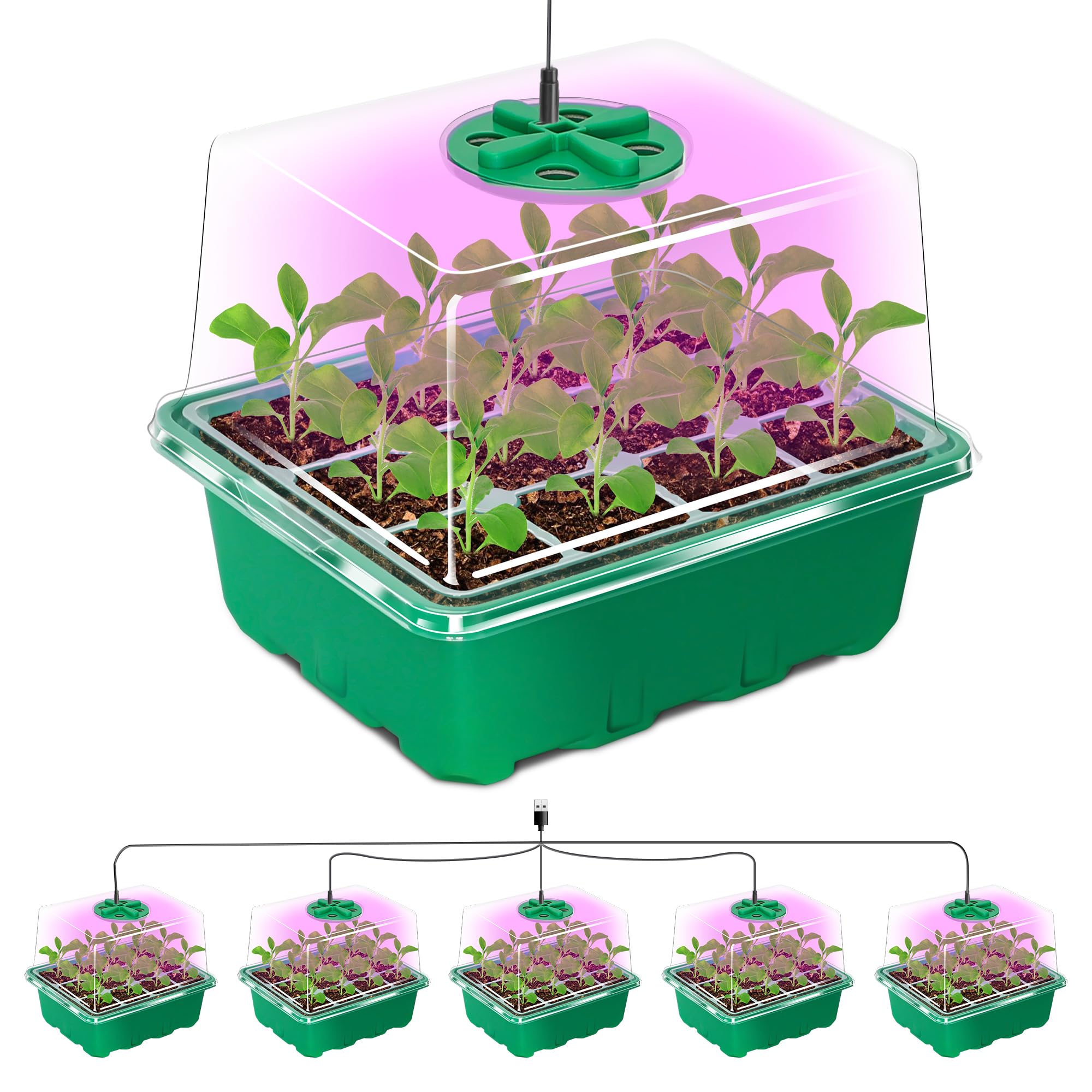 Bonviee Seed Starter Trays with 12-LED Grow Lights, Green, 5 Pack | 5 Seed Start