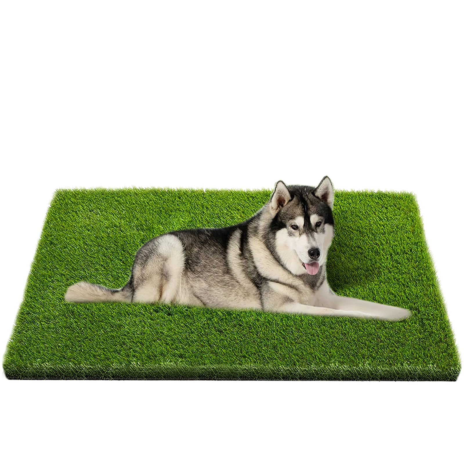 CooZero Artificial Grass, 47.3"x31.5" Professional Dog Grass Mat, Potty Training