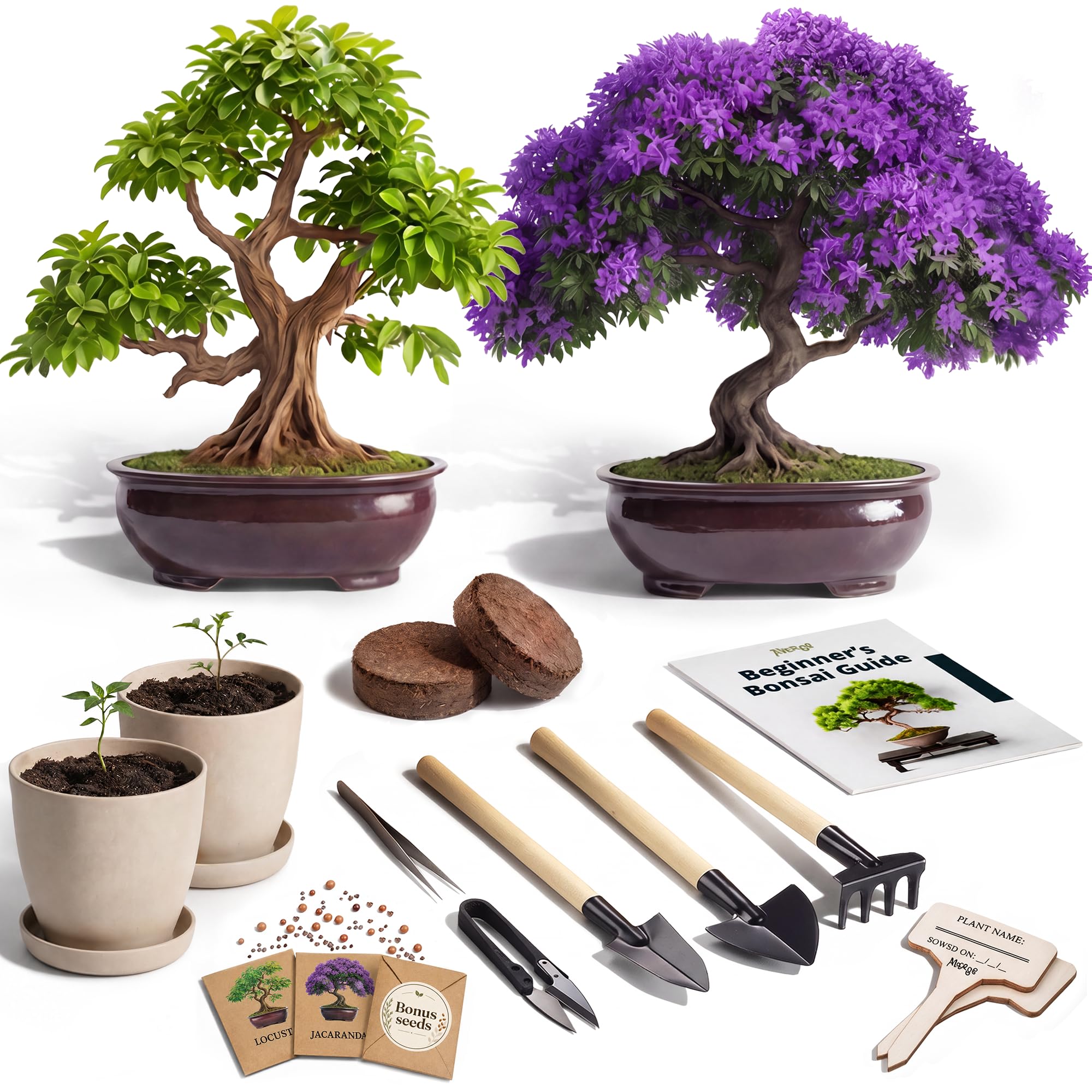 Bonsai Starter Kit – 2X Bonsai Tree | Complete Indoor Starter Kit for Growing Bo