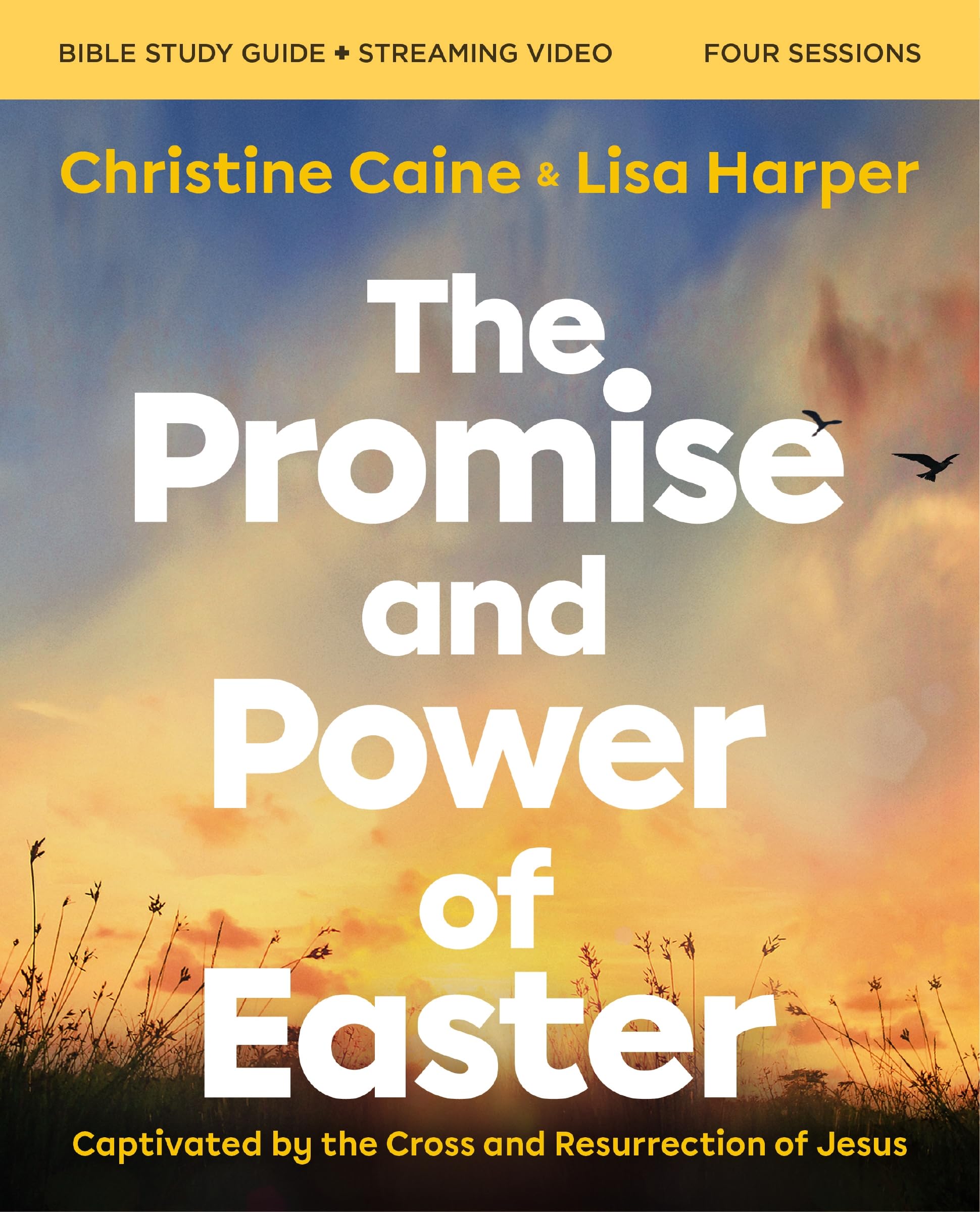 The Promise and Power of Easter Bible Study Guide plus Streaming Video: Captivat