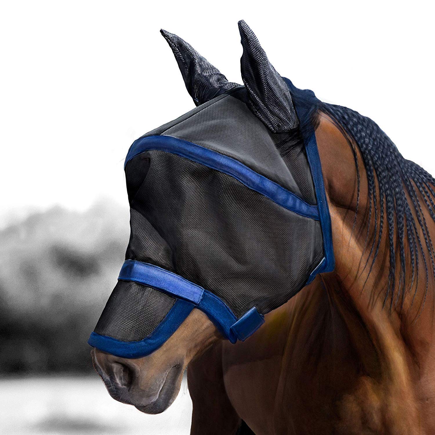 Harrison Howard Maskology Supreme Horse Fly mask Black/Blue