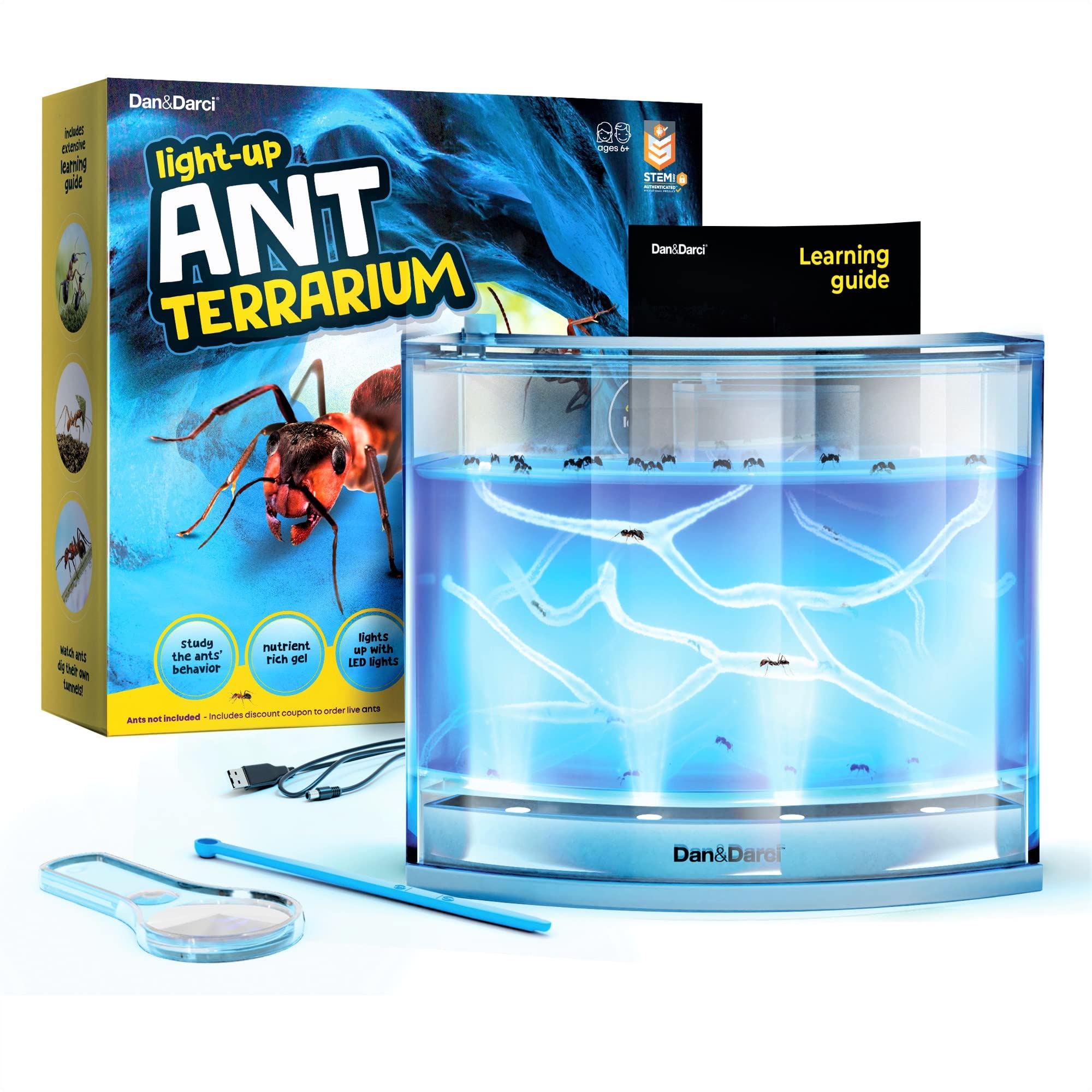 Dan&Darci Light-up Ant Farm Terrarium Kit for Kids – LED Habitat for Live Ants w