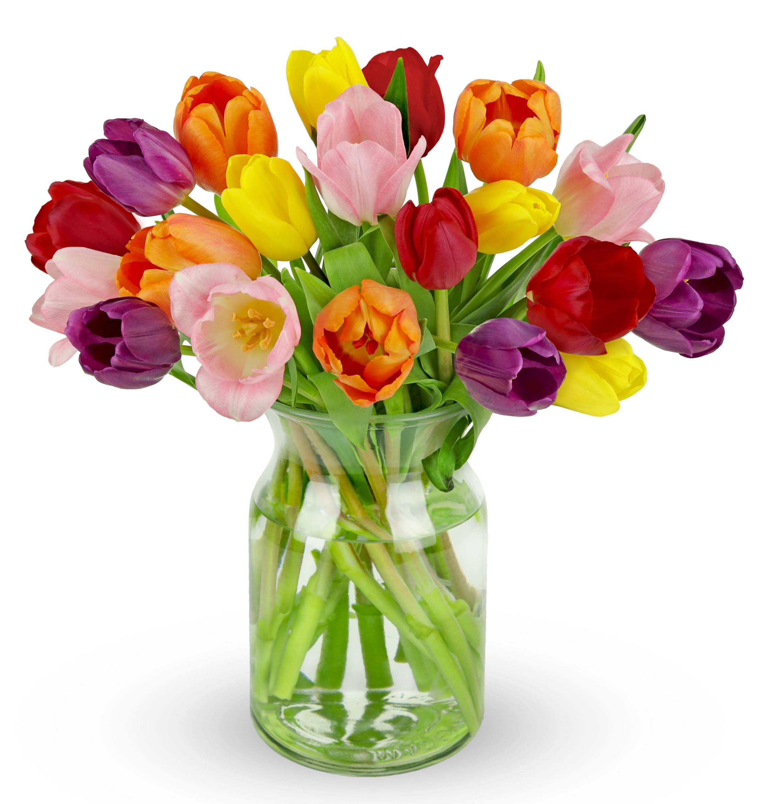 Benchmark Bouquets Rainbow Tulips – Birthday Flowers for Delivery – Fresh Tulips