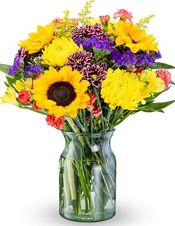 Benchmark Bouquets Flowering Fields Sunflower Bouquet - Birthday Flowers for Delivery - Fresh Flowers Bouquet - Birthday & Get Well Gifts for Women - Glass Vase Included