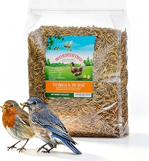 WORMSKING Dried Mealworms for Wild Birds and Chicken, 2LB | For Poultry, Tasty Bird Food, Great Bird Watching Gift