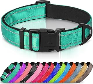 Joytale Reflective Dog Collar, Adjustable Neoprene Padded, Teal L | Breathable Nylon for Large Dogs, No Chafing on Walks and Outdoor Hikes, Tear-Resistant Webbing, Metal D-Ring, Night Safety