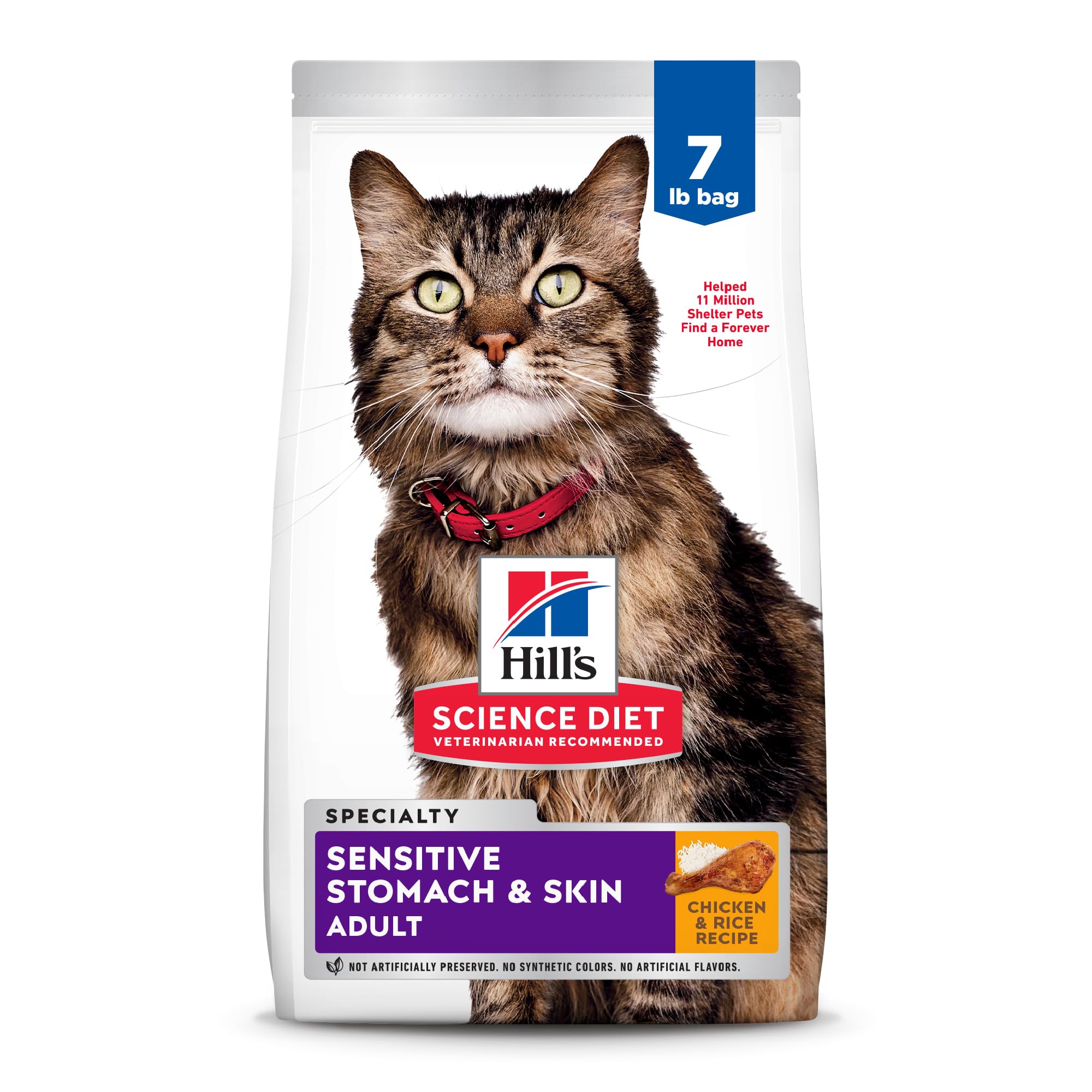 Hill's Science Diet Sensitive Stomach & Skin Dry Cat Food | #1 Veterinarian Reco