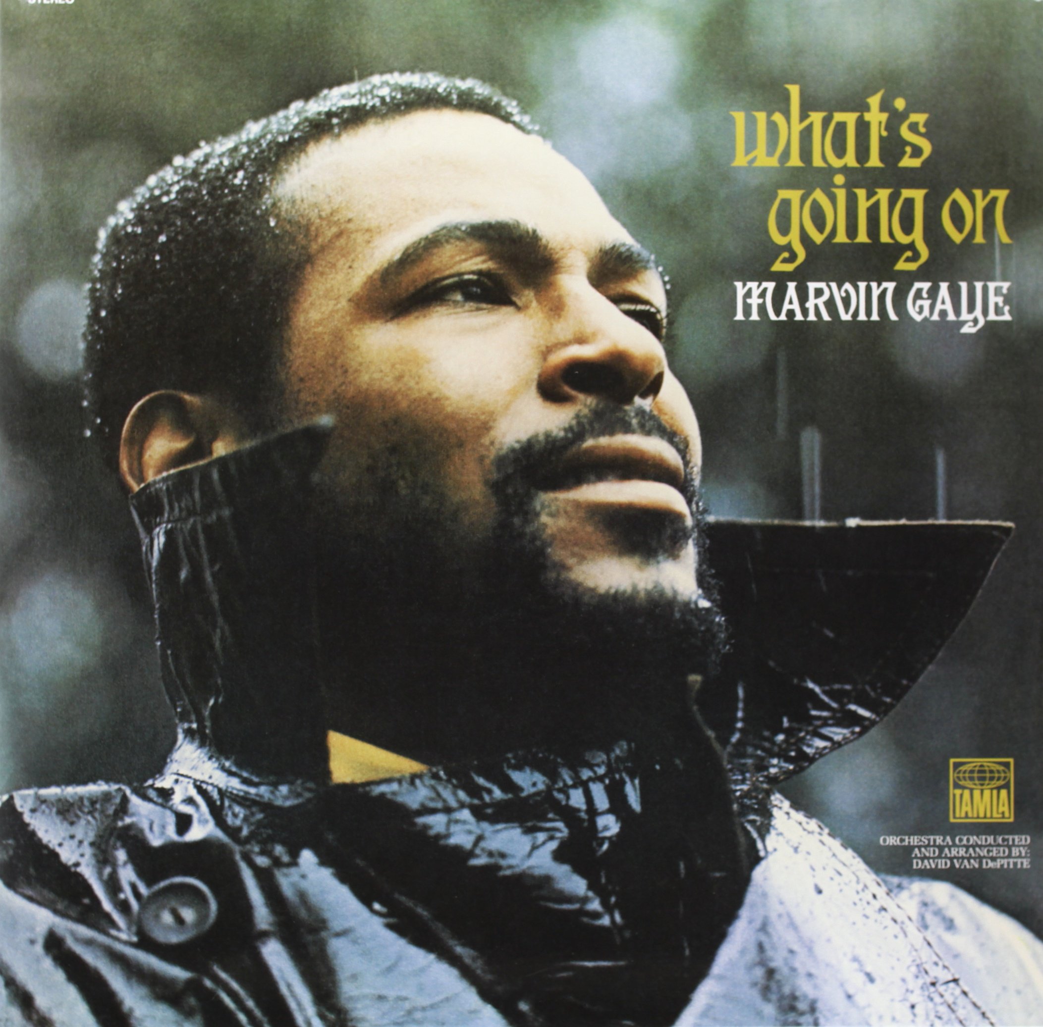 What's Going On (Vinyl)