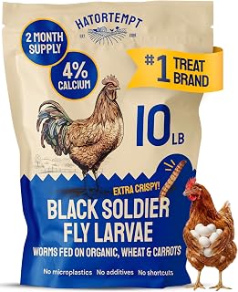 Hatortempt 10lb Black Soldier Fly Larvae for Chickens, Calci Chicken Treats | 80x More Calcium Than Mealworms - Black Soldier Fly Larvae for Chickens - Non-GMO - Fed On An Organic Diet