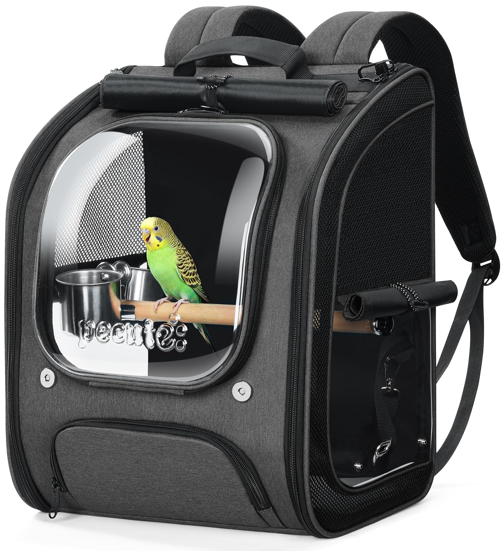 Pecute Bird Backpack Carrier with Standing Perch for Small Parrot, Grey | Transp