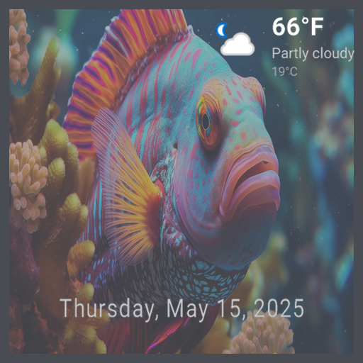 Coral Zen TV with Sleep Sounds - Peaceful Underwater Meditation with Weather & C