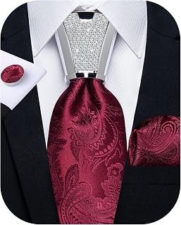 DiBanGu Paisley Tie and Pocket Square Classic Men's Woven Necktie, Handkerchief and Clip Sets