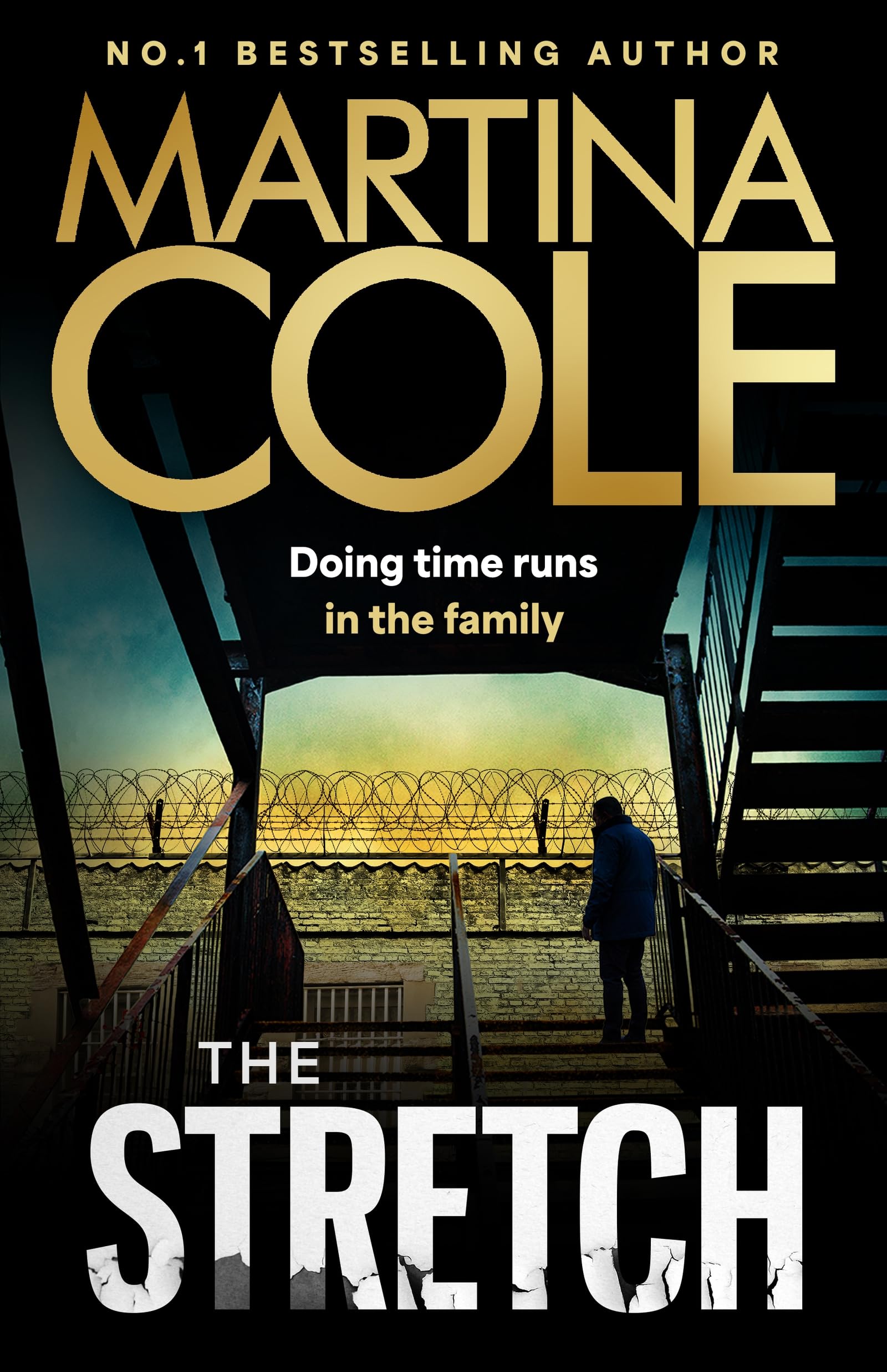 The Stretch: The explosive new novel from the iconic queen of crime, back writin