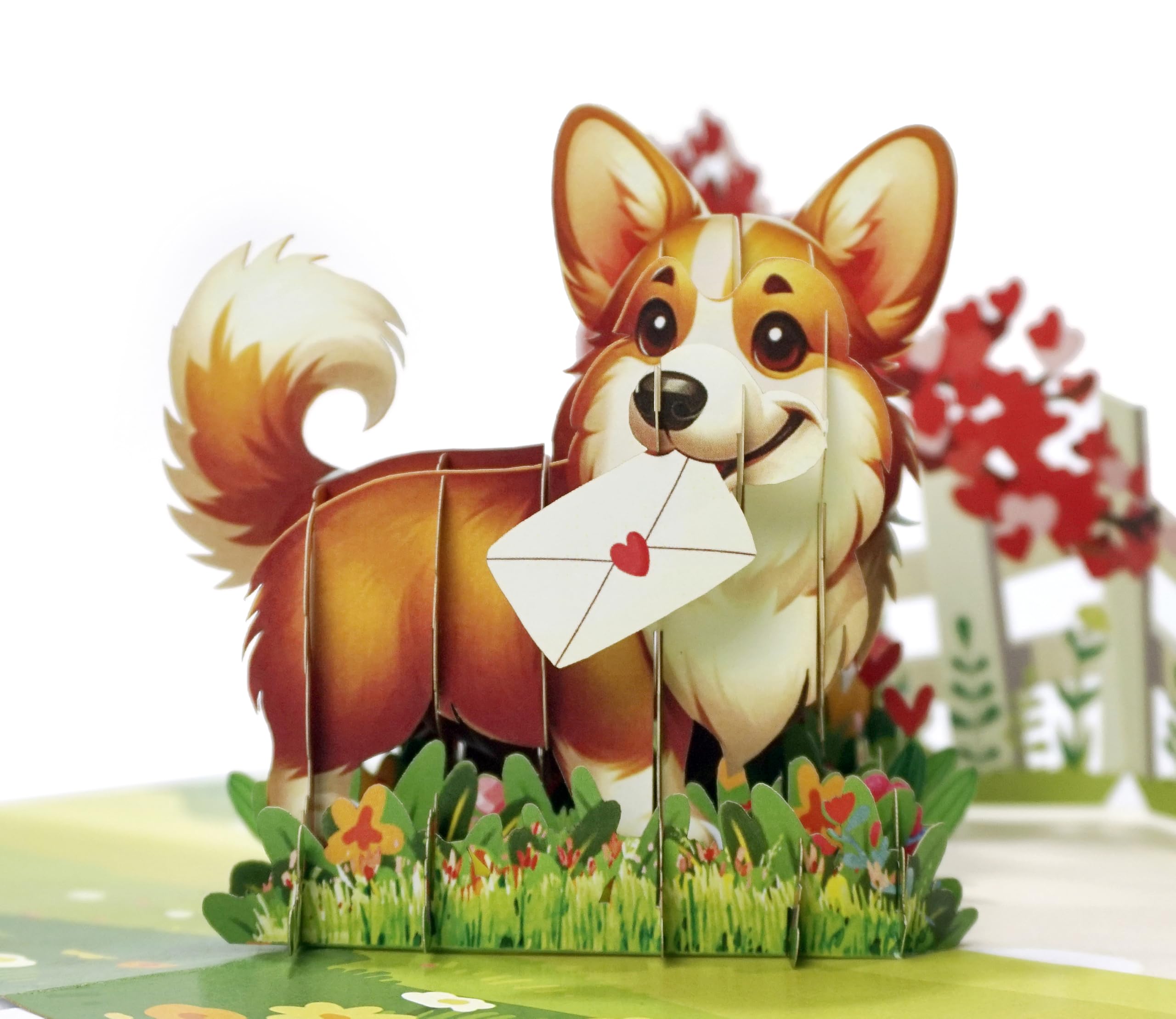 CUTPOPUP Corgi Dog – Anniversary Card, 3D Birthday Card, Anniversary Gift, Coupl