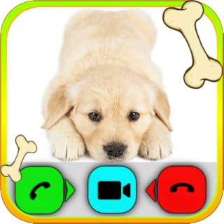 Cute Puppies and Kittens - AI Video Call Prank and Chat