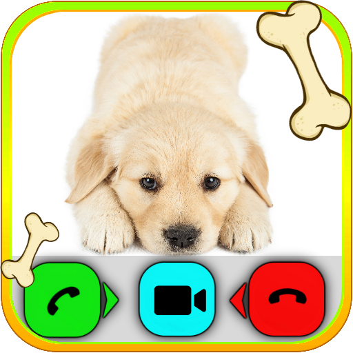 Cute Puppies and Kittens - AI Video Call Prank and Chat