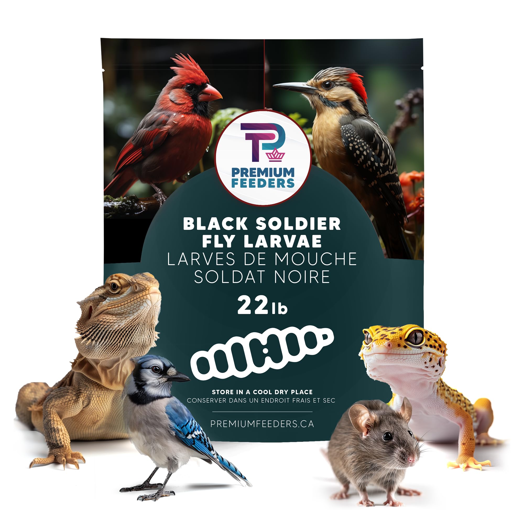 22lb - Dried Black Soldier Fly Larvae by Premium Feeders – Dried mealworms Alter