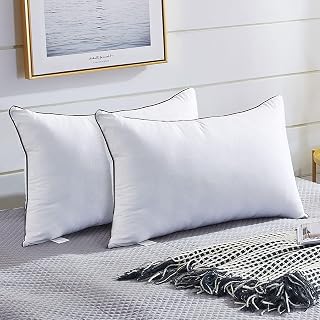 JOLLYVOGUE Pillows Queen Size 2 Pack for Sleeping, Soft and Supportive Bed Pillow for Side and Back Sleeper, Down Alternative Hotel Collection Pillows-20 x30