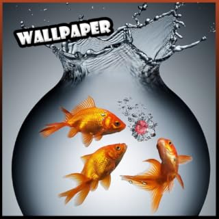 Fishing Wallpaper 4K / Fishing Background 3D