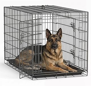 FDW | 48" Foldable Metal Dog Crate | Dark Black | Cage for XL Dogs | Heavy Duty, Portable Wire Kennel with Double Door, Divider & Leak-Proof Tray | For Training, Home, Travel Indoor/Outdoor Use