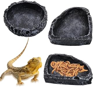 3 Pack Reptile Water Dish, Samll Snake Water Bowl, Bearded Dragon Food Dish | Leopard Crested Gecko Tank Accessories, Feeding Dish Kit for Tortoise, Lizard, Frog, Hermit Crab