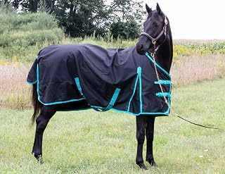 TECH EQUESTRIAN Winter Horse Blanket - 300GSM 600 Denier (Waterproof/Breathable/Snow Proof) Turnout Blanket (78, Black with Turquoise Trims)