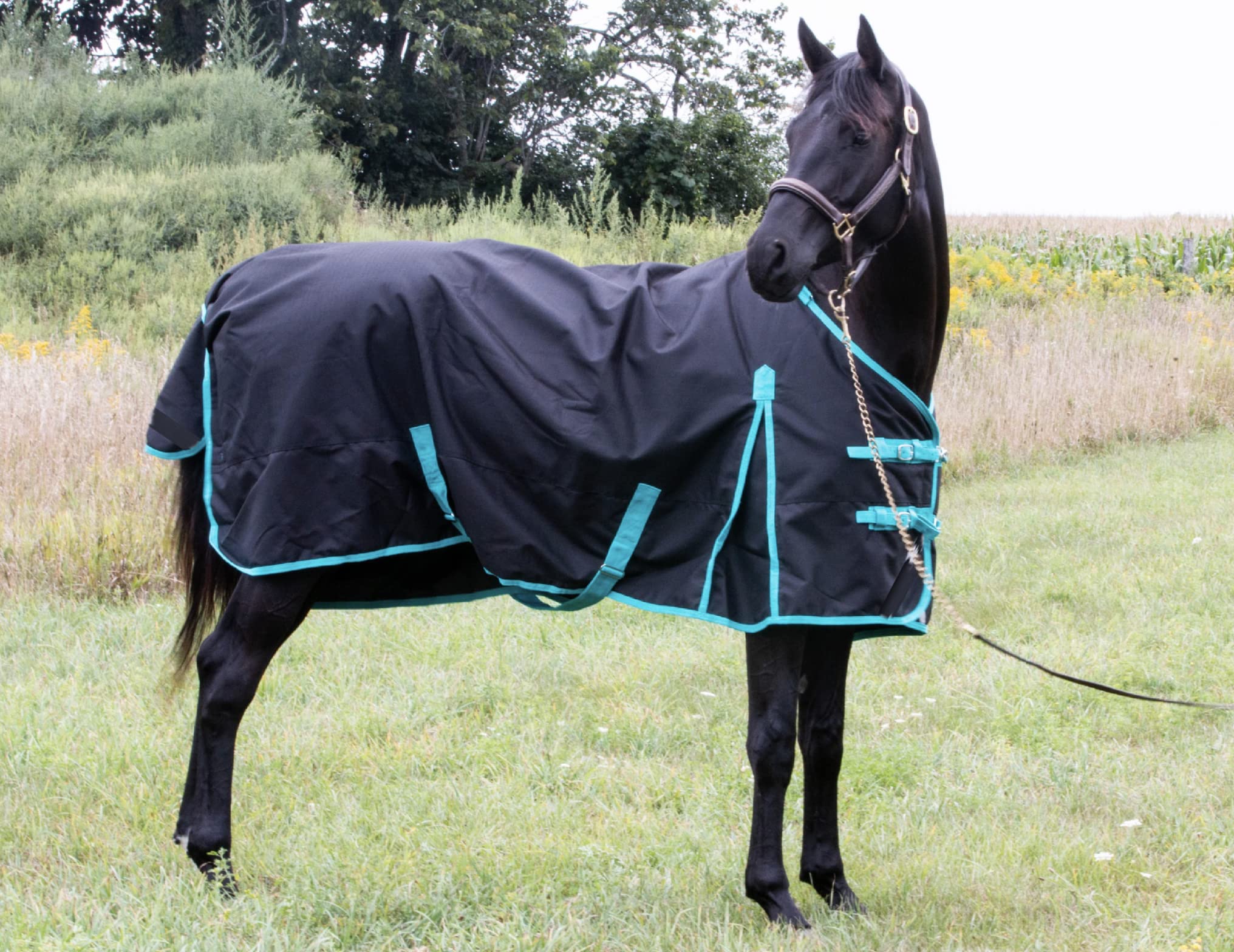 TECH EQUESTRIAN Winter Horse Blanket - 300GSM 600 Denier (Waterproof/Breathable/