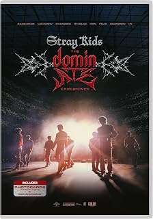 Stray Kids: The dominATE Experience