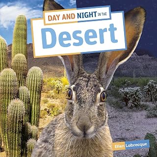 Day and Night in the Desert (Habitat Days and Nights)