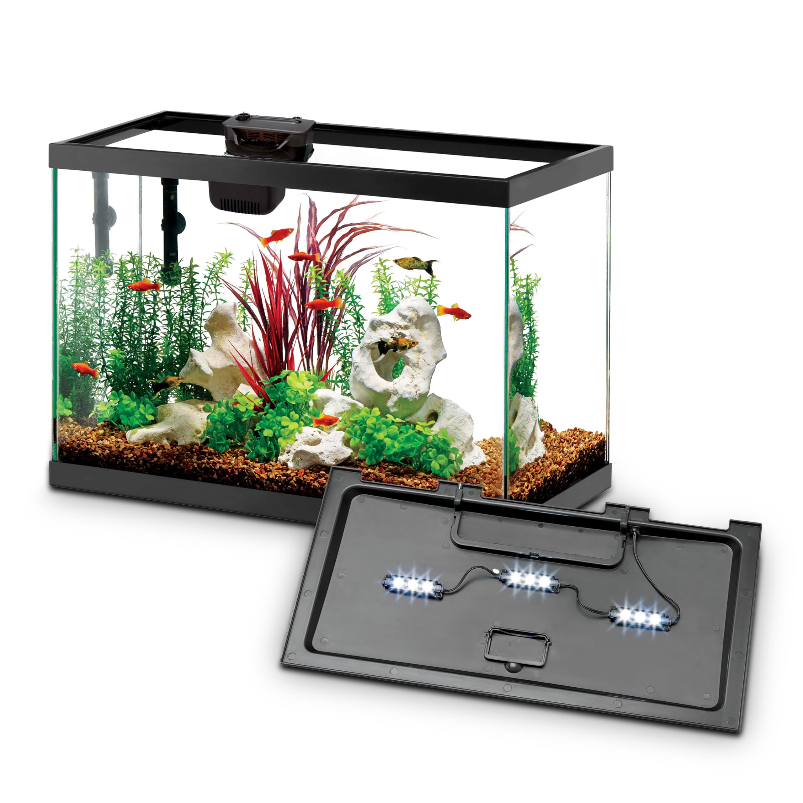 Aqueon Aquarium Starter Kit with Smart Clean Filtration and LED Lighting, Freshw