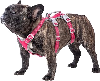 Huntboo Escape Proof Dog Harness, Escape Artist Harness, Reflective Harness with Padded Handle, Breathable, Durable, Adjustable Vest for Medium Dogs Walking, Training, and Running Gear (Rose red, M)